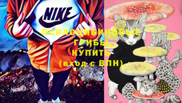 круглые Алзамай