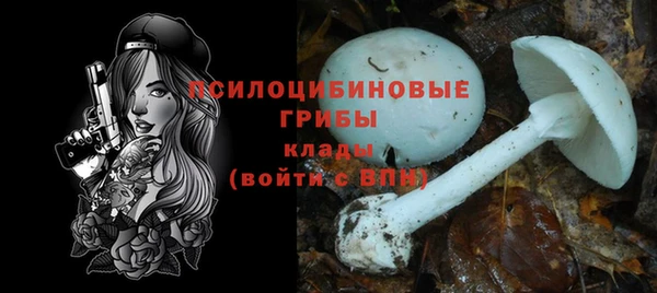 мяу мяу кристалл Алексин