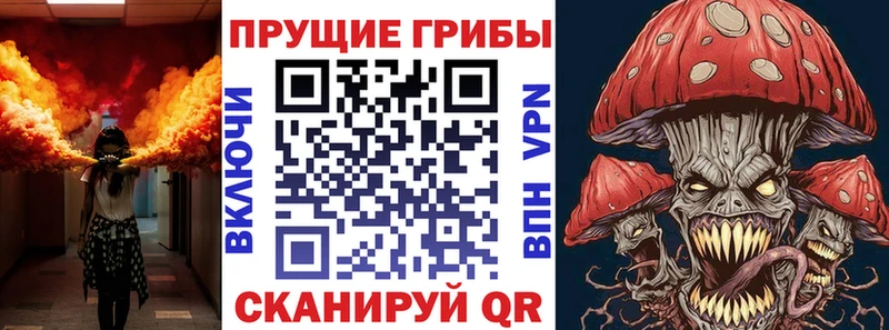 где найти   Жуковский  Псилоцибиновые грибы ЛСД 