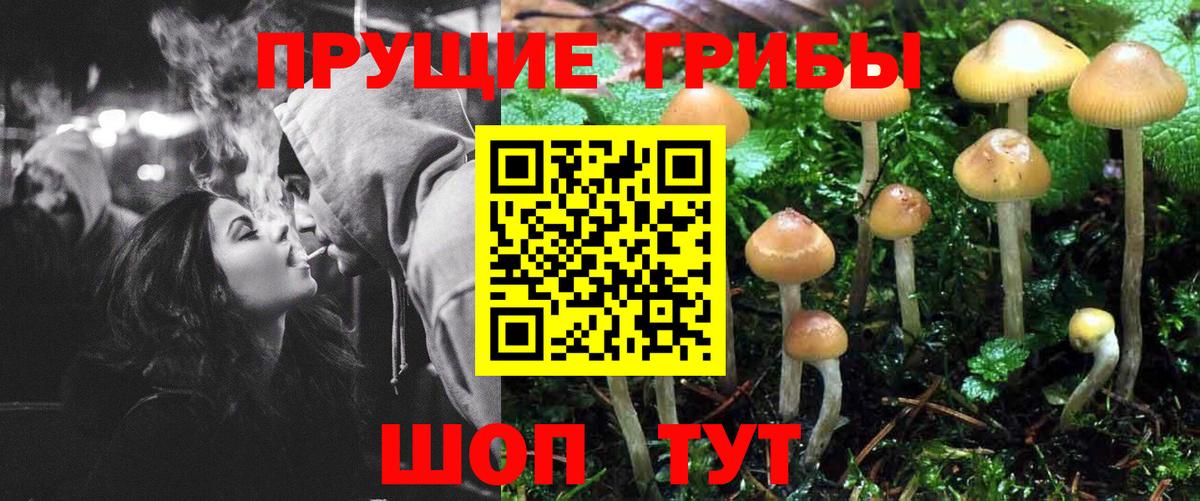 Псилоцибиновые грибы GOLDEN TEACHER Жуковский
